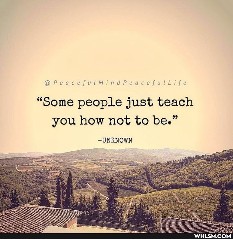 @PeacefulMindPeacefulLife
"Some people just teach you how not to be."
-UNKNOWN
