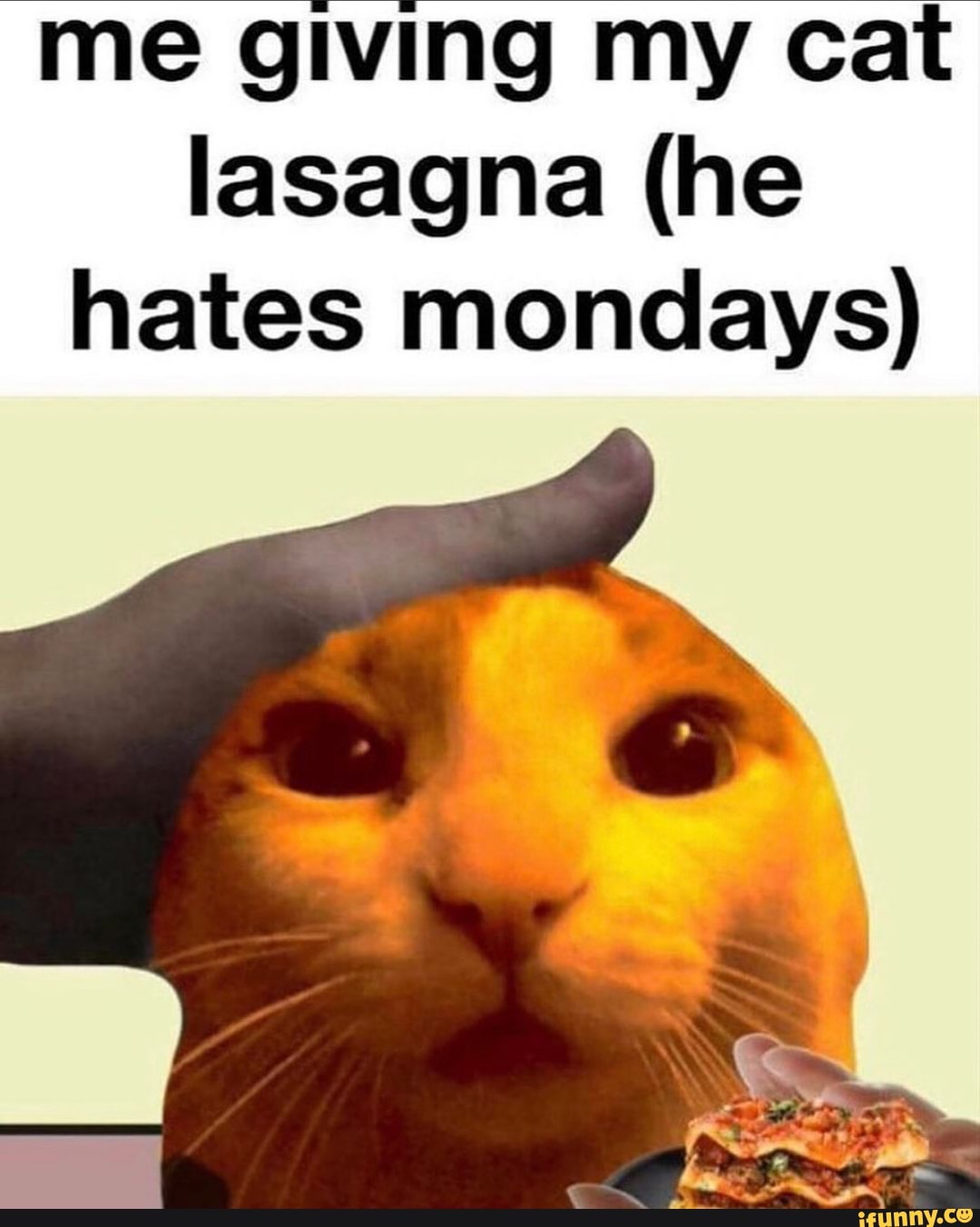 me giving my cat lasagna (he hates mondays)