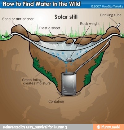 How to'Find Water in the Wild
Caesars