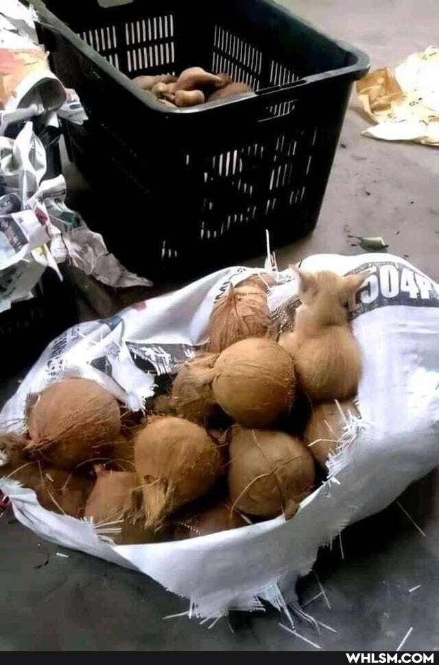 li Jj
im I