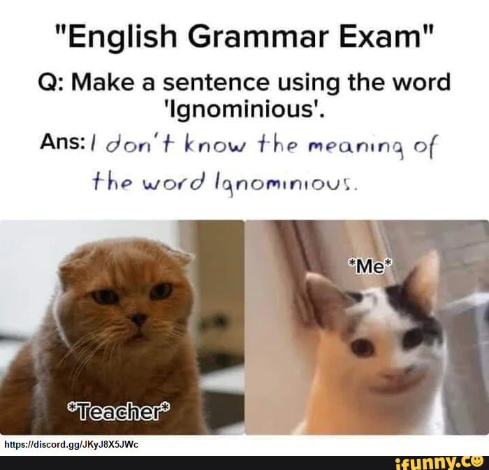 english-grammar-exam-q-make-a-sentence-using-the-word-ignominious