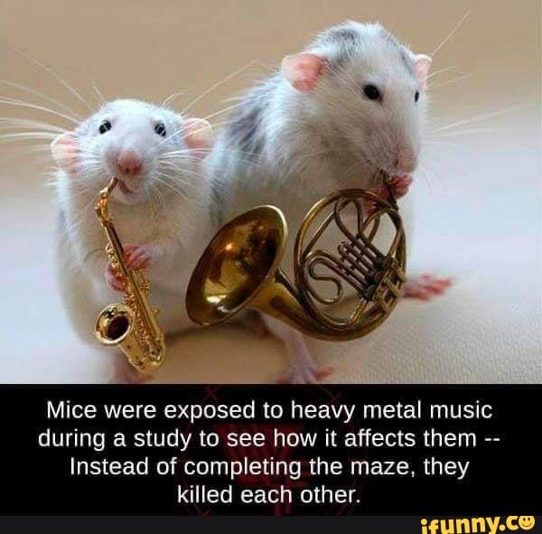 mice heavy metal music experiment