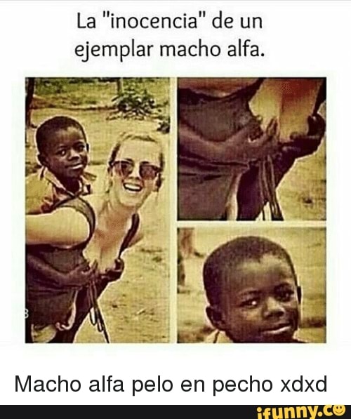 La "inocencia" de um ejemplar macho alfa.
Macho alfa pelo en pecho xdxd