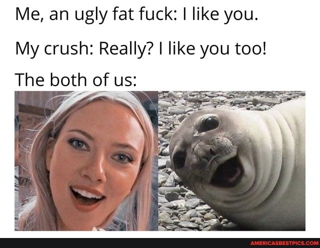 Me, an ugly fat fuck: like you.
My crush: Really? I like you too!
The both of us: