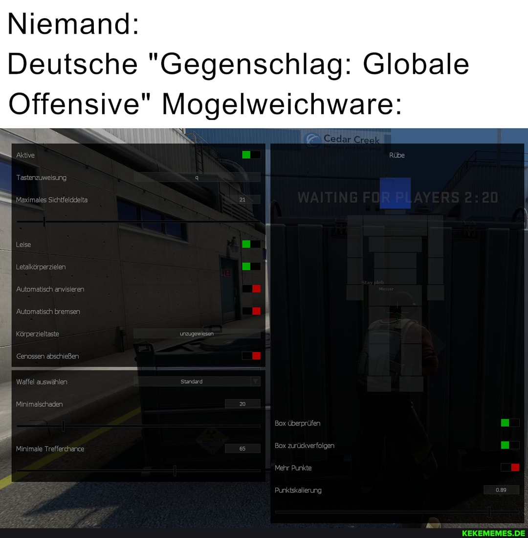 Niemand:
Deutsche "Gegenschlag: Globale
Offensive" Mogelweichware:
Letalkörperzielen
Automatisch anvisierer itomatisch bremses
Minimalschader