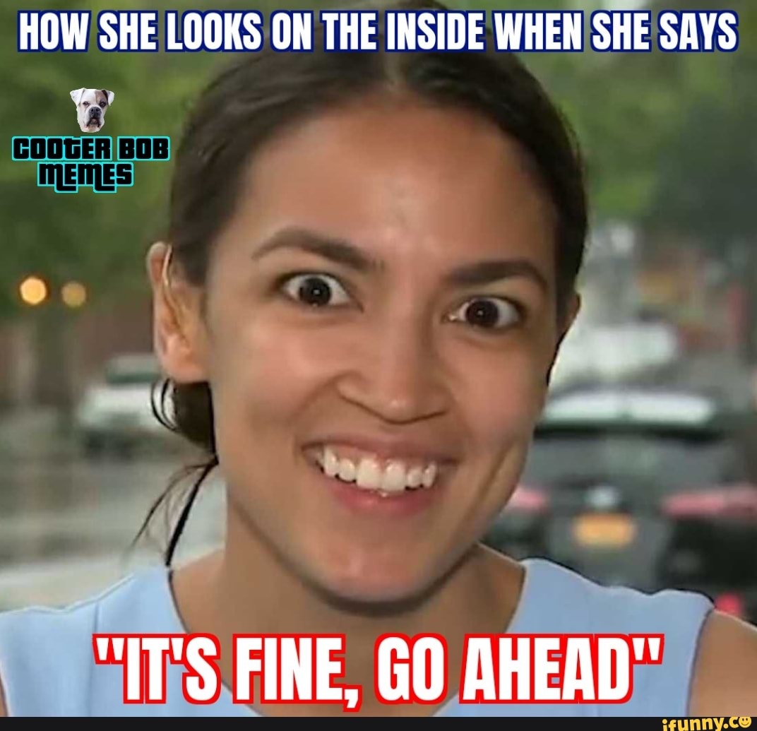 HOW SHE LOOKS ON THE INSIDE WHEN SHE SAYS MEMES) "IT'S FINE, GO AHEAD