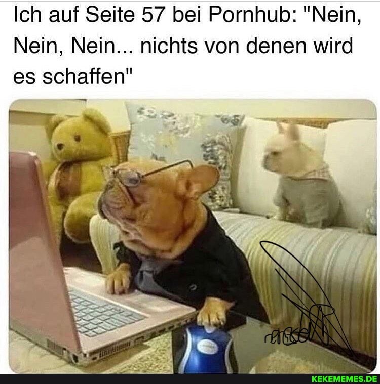 Ich auf Seite 57 bei Pornhub: "Nein,
Nein, Nein... nichts von denen wird es schaffen"