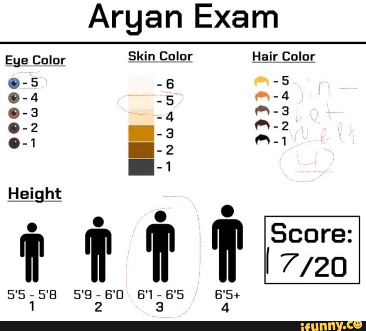 Aryan Exam
er Skin Color Hair Color
Height