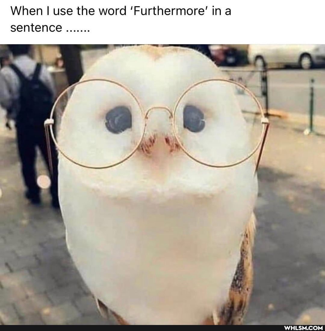 When I use the word 'Furthermore' in a sentence