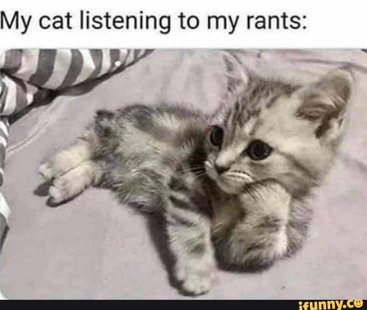 My cat listening to my rants: