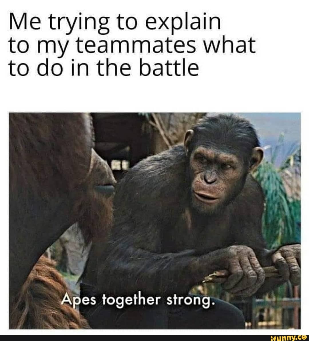 Me trying to explain
to my teammates what
to do in the battle
Apes together strong.