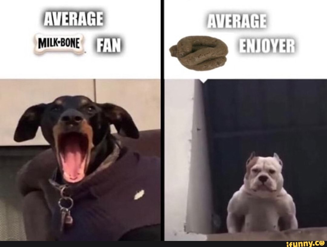AVERAGE
AVERAGE
ENJOYER
FAN