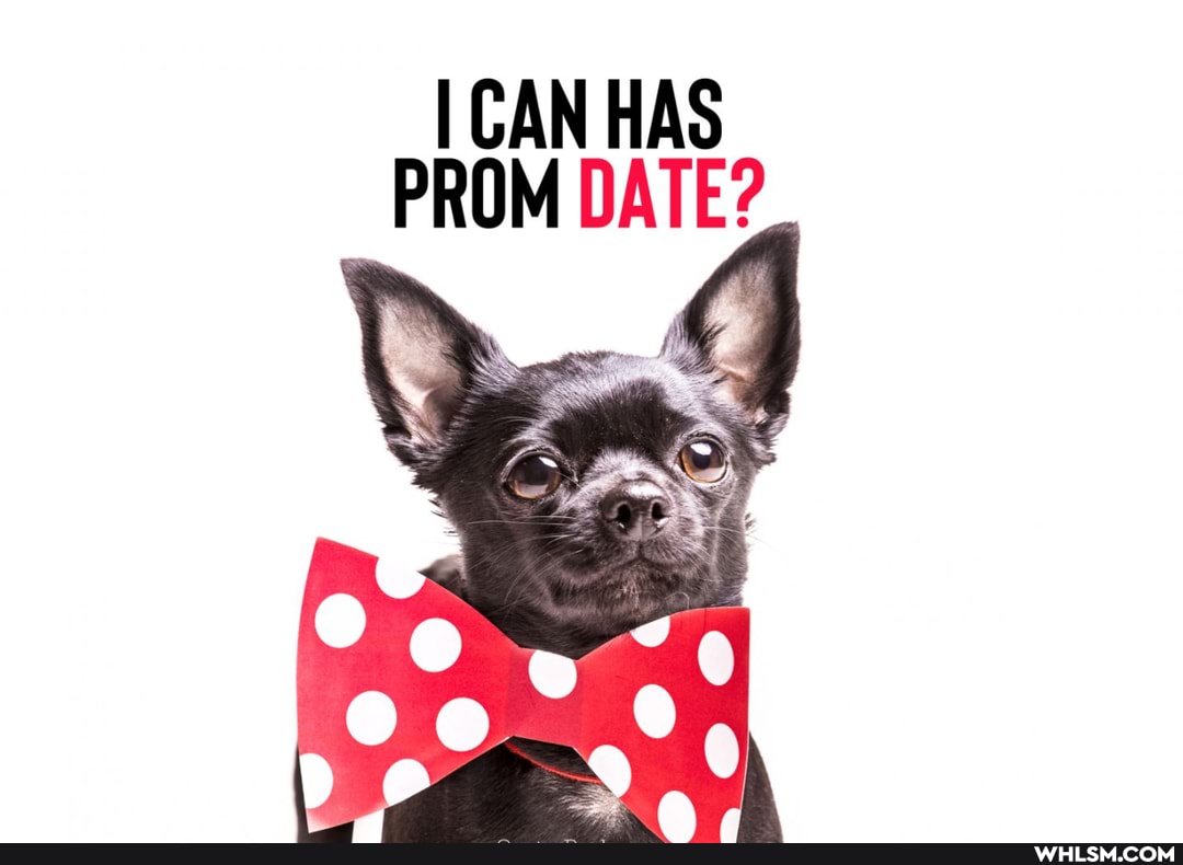 I CAN HAS PROM DATE?