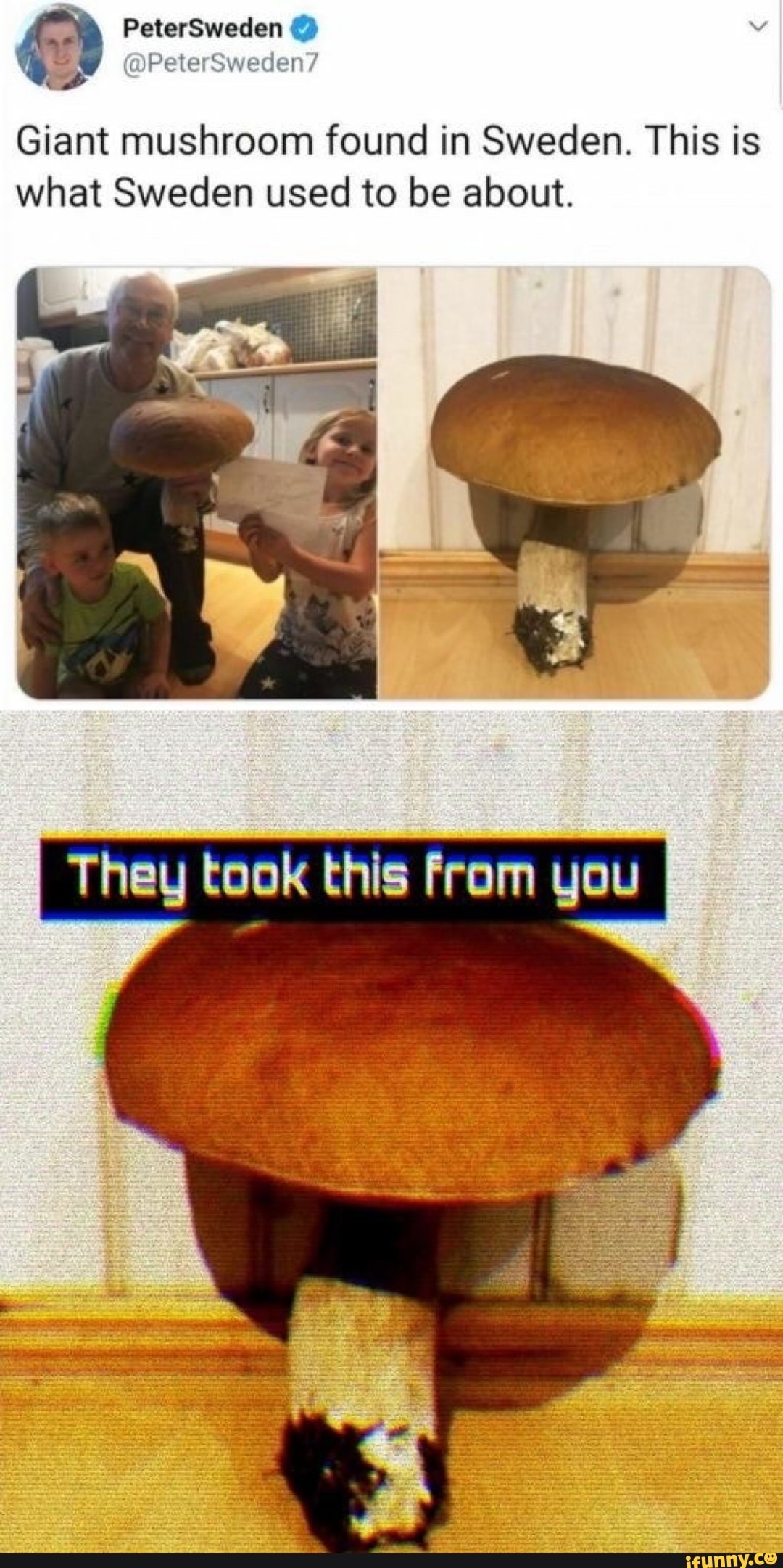 Giant mushroom found in Sweden. This is
what Sweden used to be about.
The kook this you