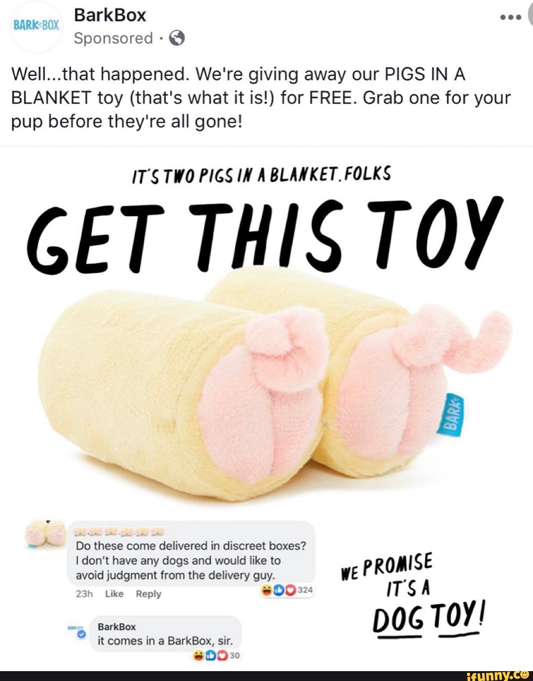 In toy pig barkbox a blanket Sneak Peek: