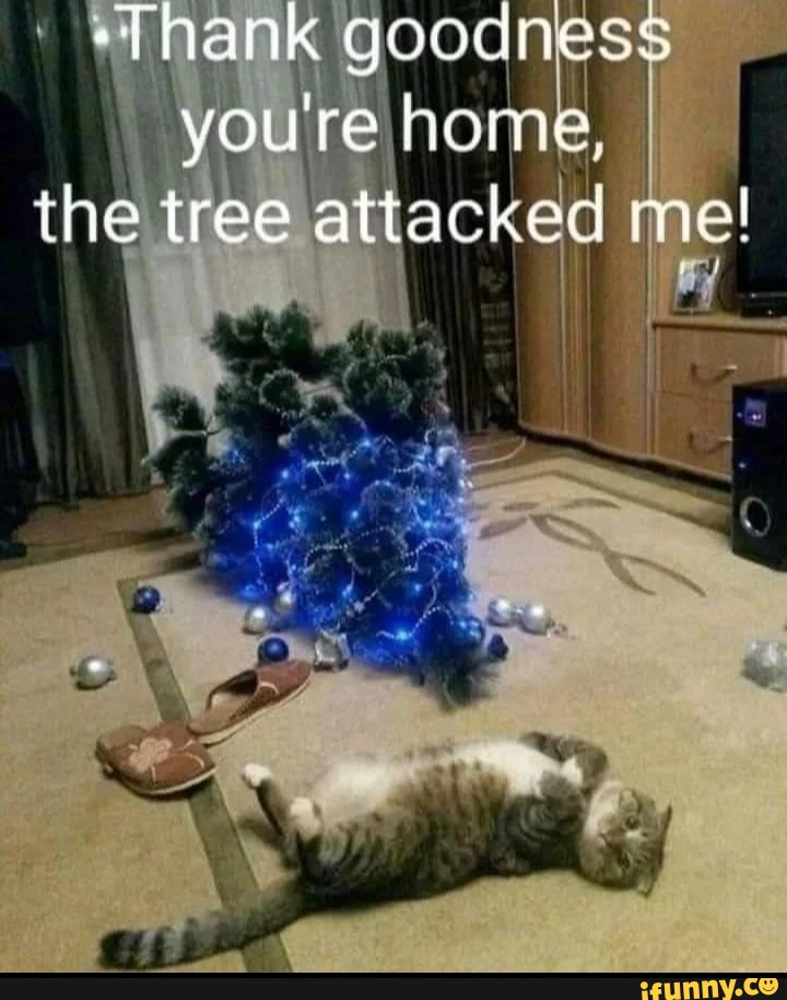 -Thank goodness you're home, the tree attacked me!