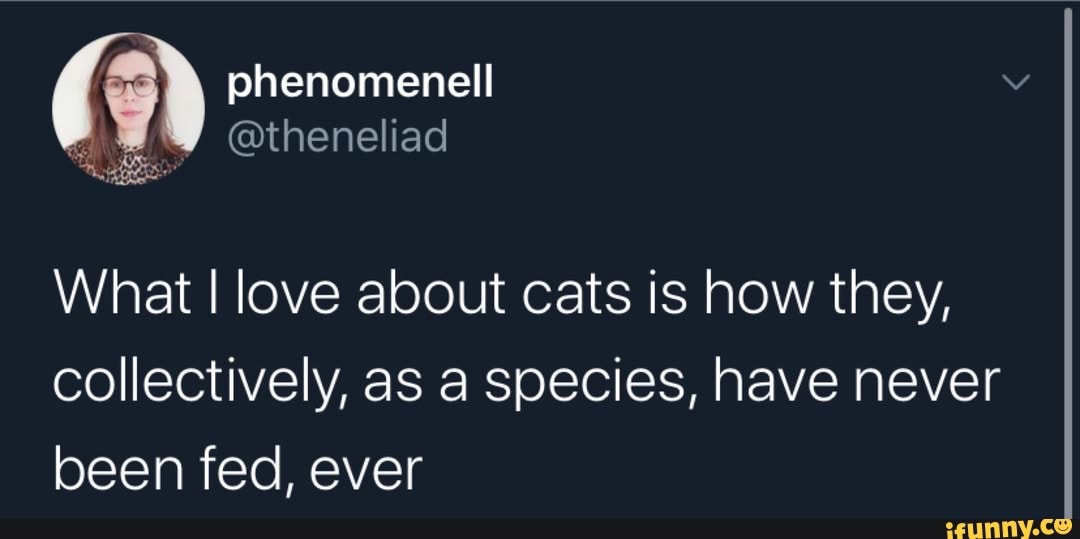 phenomenell @theneliad
What I love about cats is how they, collectively, as a species, have never been fed, ever