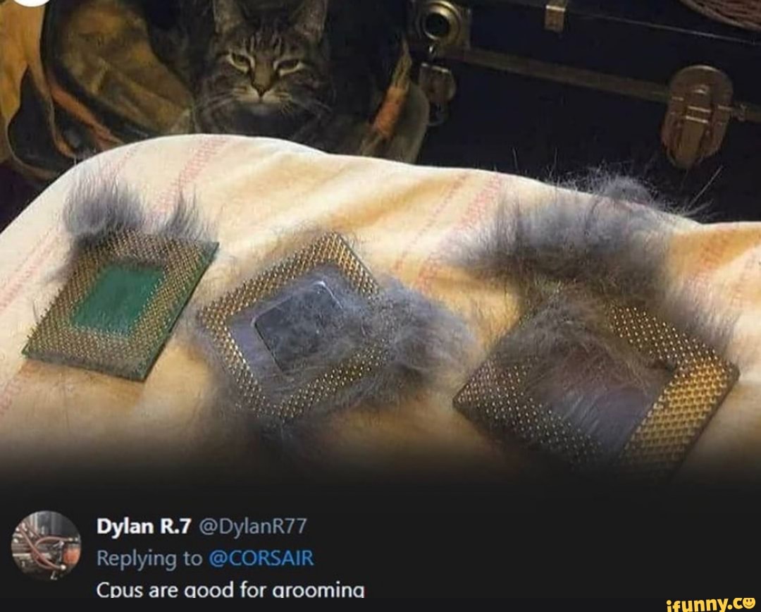 Dylan @DylanR77
Replying to @CORSAIR Cous are aood for arooming