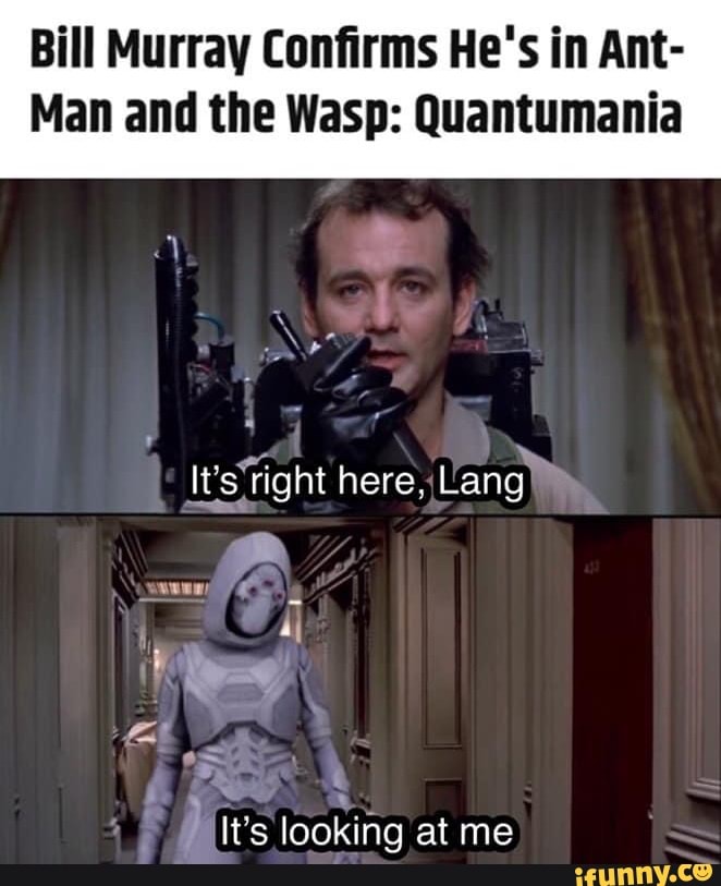 Bill Murray Confirms He's in Ant- Man and the Wasp: Quantumania herd Lang /  It's looking at me 