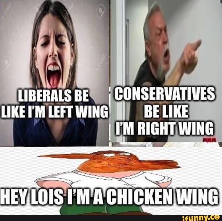 Leave like. Right Wing Мем. Left Wing memes. Left Wing meme. Left Wing memes right Wing memes.