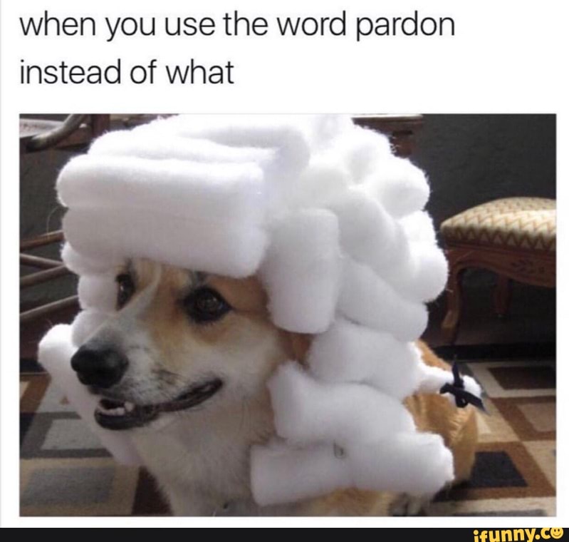 when you use the word pardon
instead of what