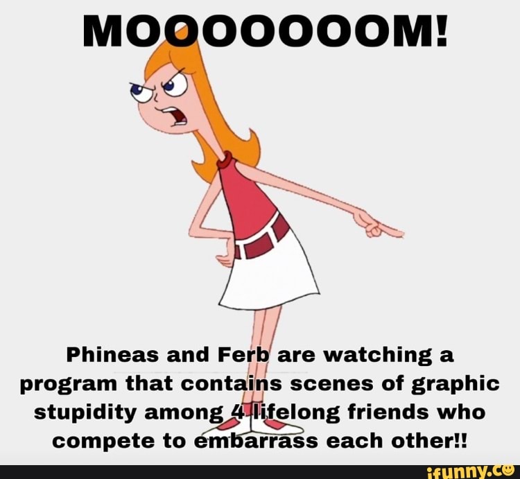 MOGOOOOOM!
Phineas and Ferb are watching a program that contains scenes of graphic stupidity among 4lifelong friends who compete to embarrass each other!!
