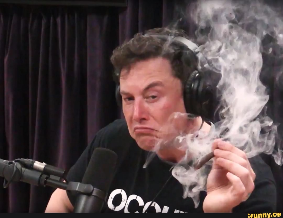 funnymemes, funny, elon, elonmusk