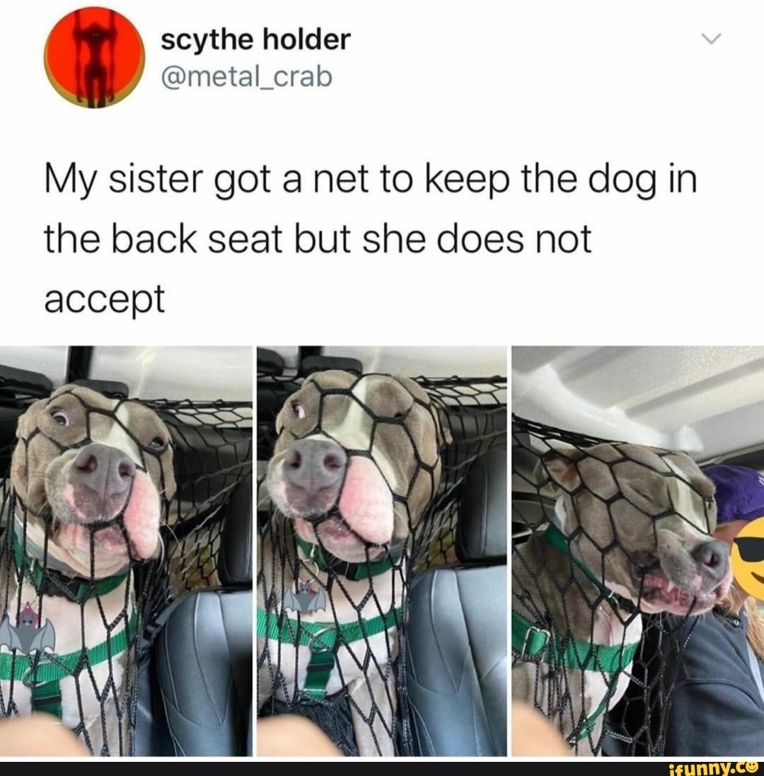 holder
My sister got a net to keep the dog in the back seat but she does not accept