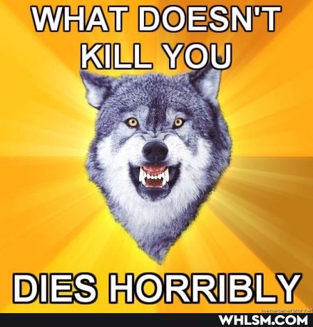 WHAT DOESN'T KILL YOU
NIES HORRIRI Y