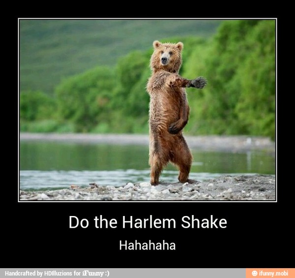 Do the Harlem Shake
Hahahaha - Do the Harlem Shake
Hahahaha