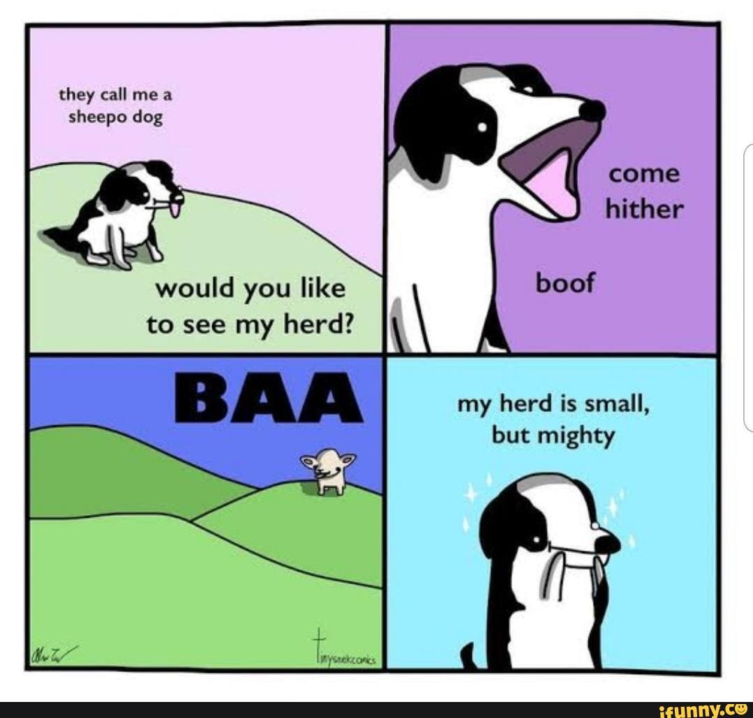 50 Various Memes To Give You A Break From Selfies They Call Me Sheep