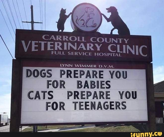 lynn veterinary clinic