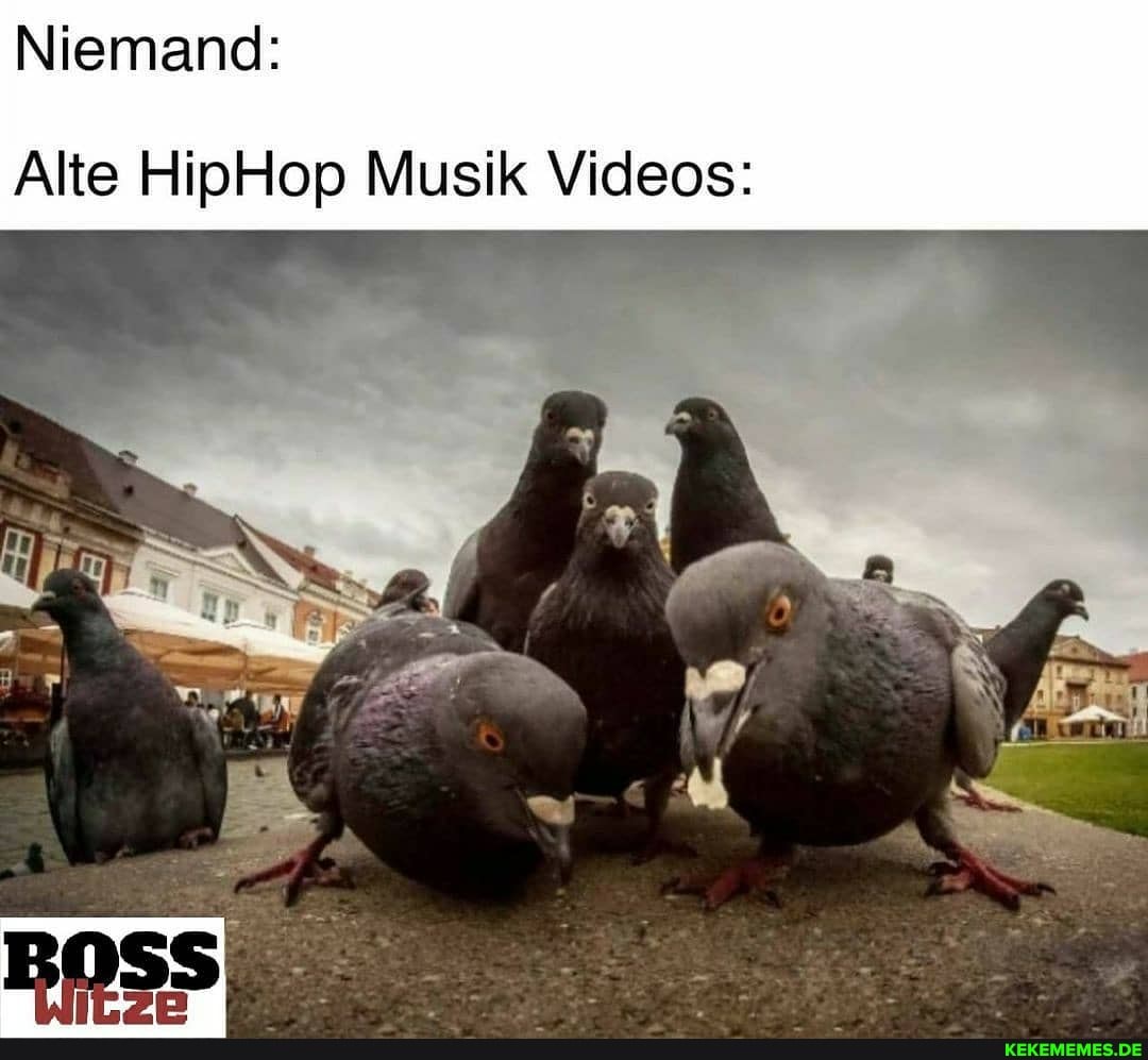 Niemand:
Alte HipHop Musik Videos: