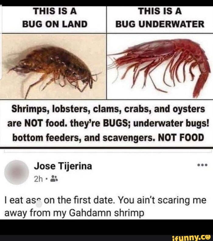 Clams memes. Best Collection of funny Clams pictures on iFunny