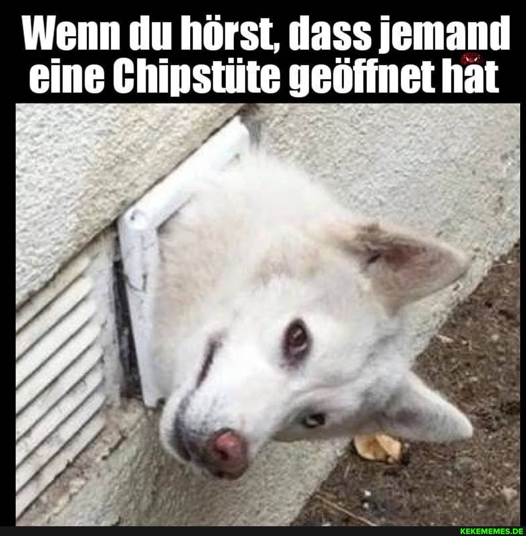 Wenn du hörst, dass jemand eine Ghipstüte geöffnet hat