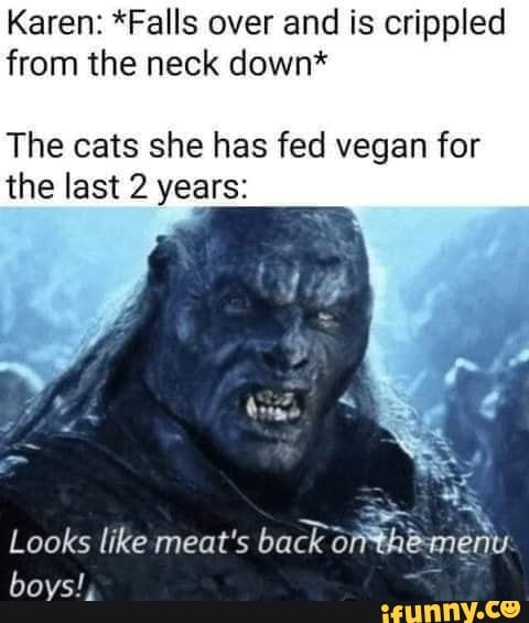 Karen Falls Over And Is Crippled From The Neck Down The Cats She Has Fed Vegan For The Last 2 Years Looks Like Meat S Back Menu Boys