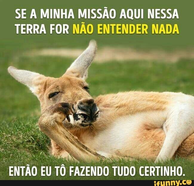 SE A MINHA MISSÃO AQUI NESSA
TERRA FOR NÃO ENTENDER NADA
ENTÃO EU TÔ FAZENDO TUDO CERTINHO.