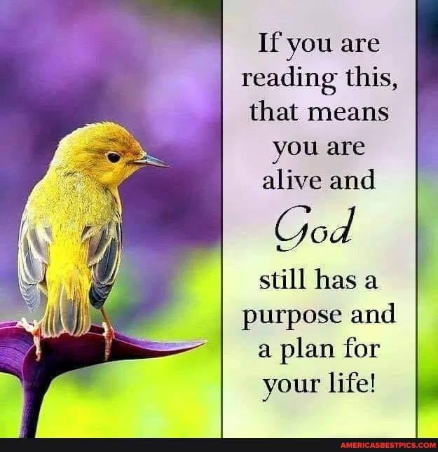 If you are reading this, that means you are alive and
God
still has a purpose and a plan for your life!