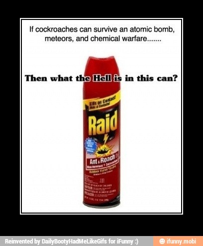 If cockroaches can survive an atomic bomb,
meteors, and chemical warfare.
Then what
3 in this can?
id