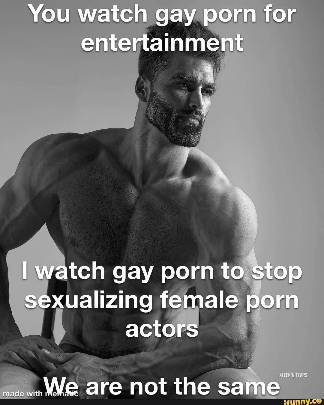 You watch gay porn for entertainment watch gay porn to stop sexualizing  female porn actors TEARS We are not the 