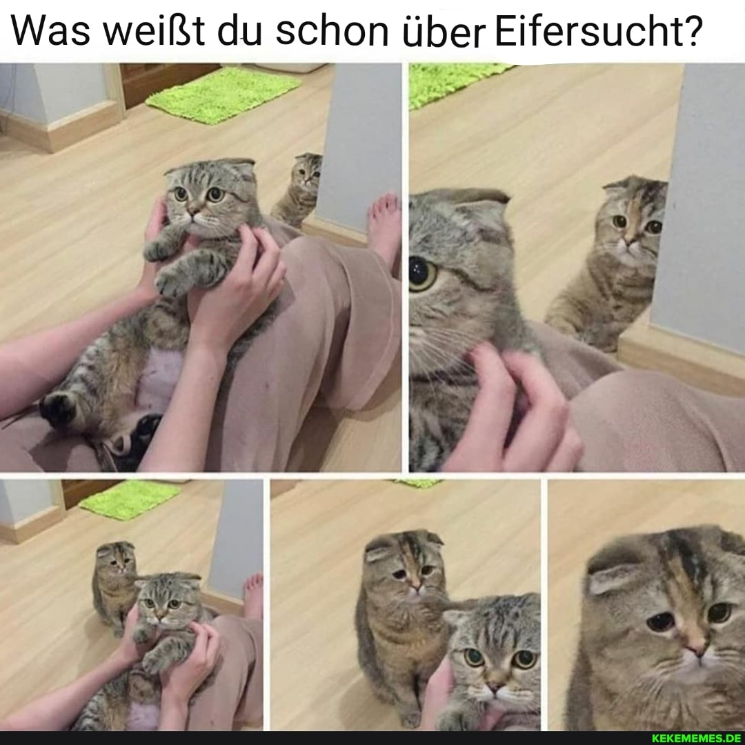 Was weißt du schon über Eifersucht?