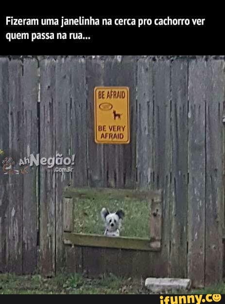 Fizeram uma janelinha na cerca pro cachorro ver
quem passa na rua...