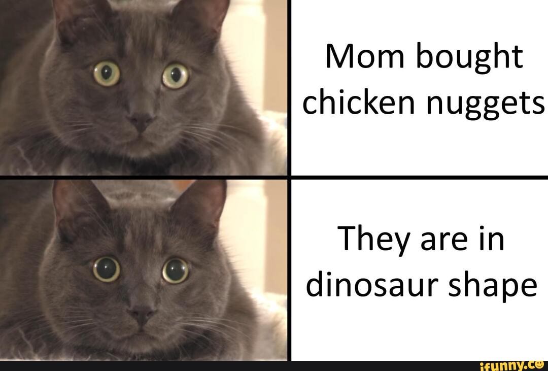 Mom bought chicken nuggets
They are in dinosaur shape