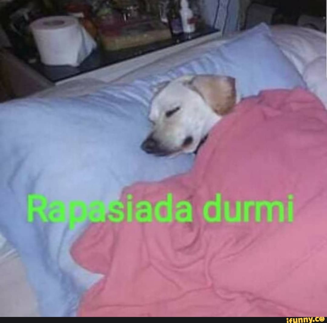 darkkun, memesengraçados, memesbr, memesdarkkun, brasil, brasileiro, shitpost, shitpostbr, shitposting, shitpostbrasil, shitpostdarkkun