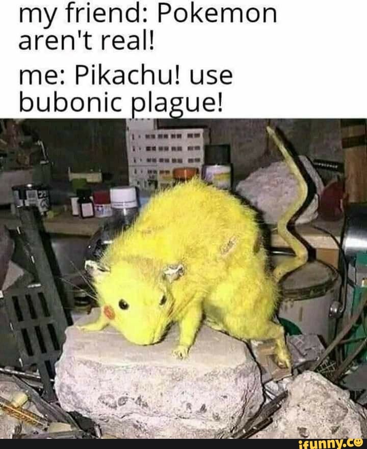my friend: Pokemon aren't real!
me: Pikachu! use le plague!