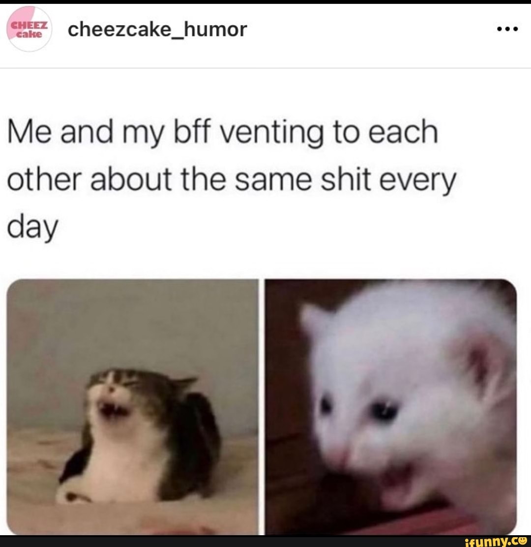 Cheezcake_humor Me and my bff venting to each other about the same shit ...