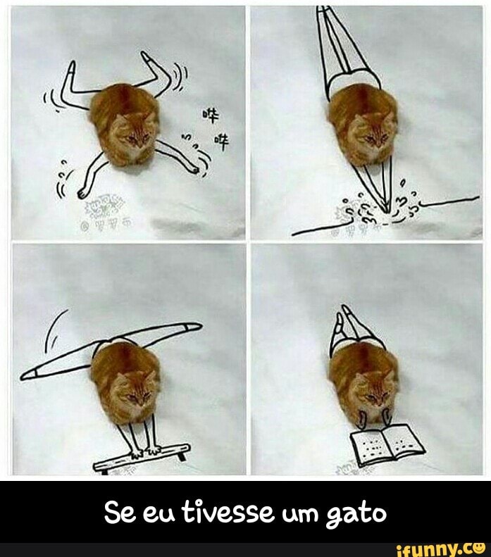 Se eu tivesse um
gato - Se eu tivesse um gato