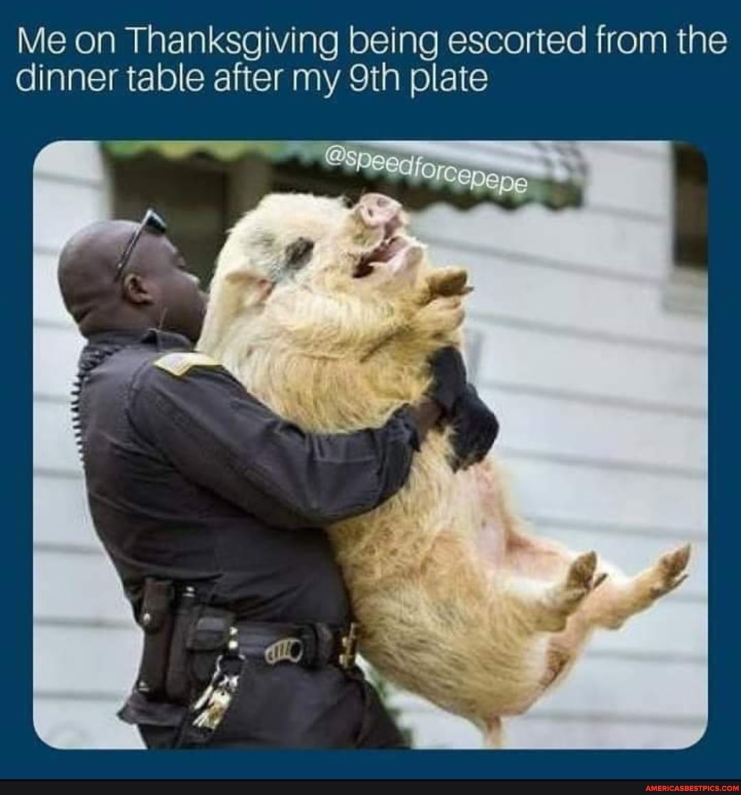 Me on Thanksgiving being escorted from the dinner table after my plate