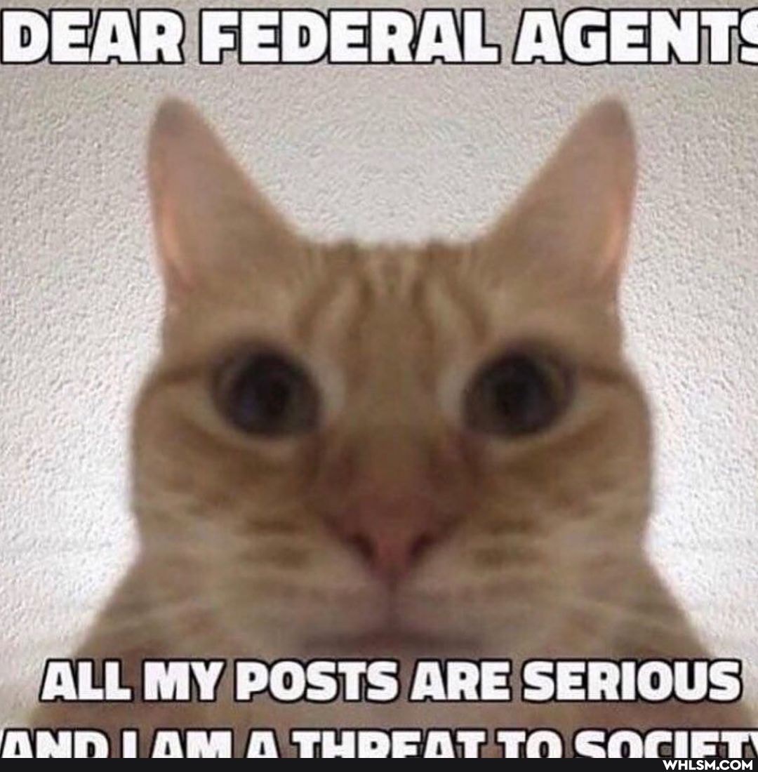 DEAR FEDERAL AGENT:
ALL MY POSTS ARE SERIOUS