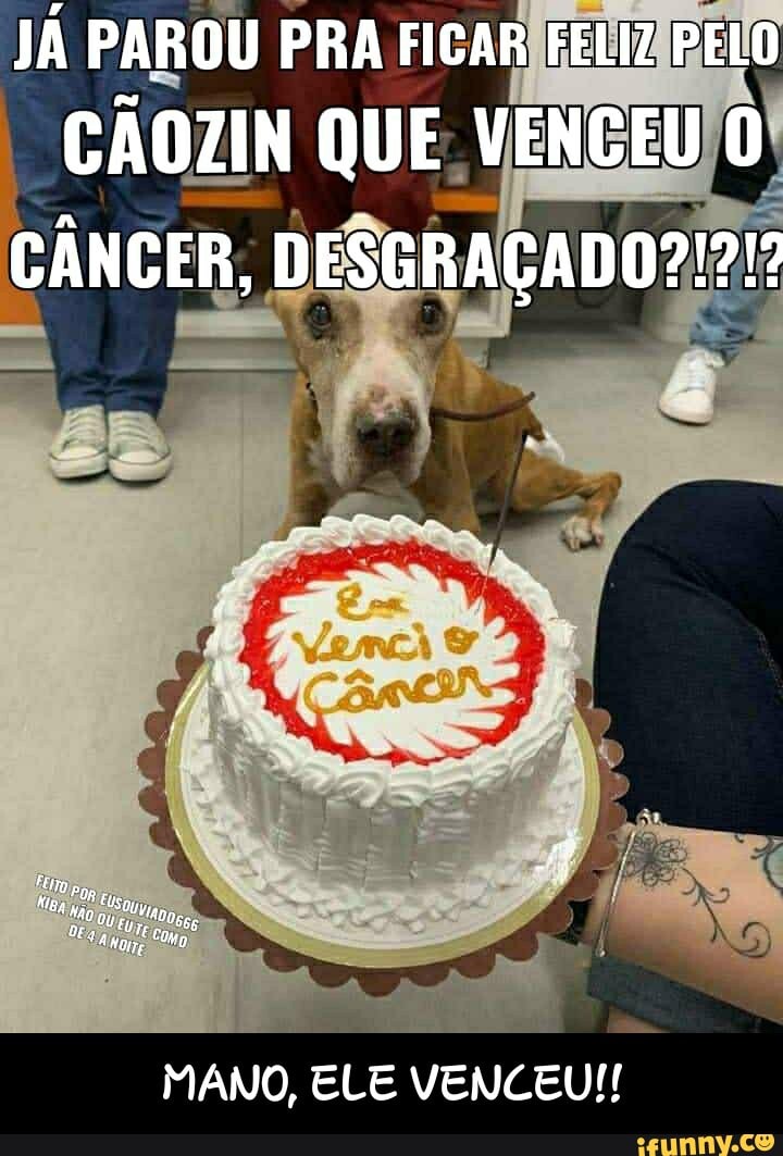 JÁ PAROU PRA FICAR FELIZ PELO CÃOZIN QUE VENCEU O
CÂNCER, DESGRAÇADO?!?!?
MANO, ELE VENCEU!! - MANO, ELE VENCEU!!
